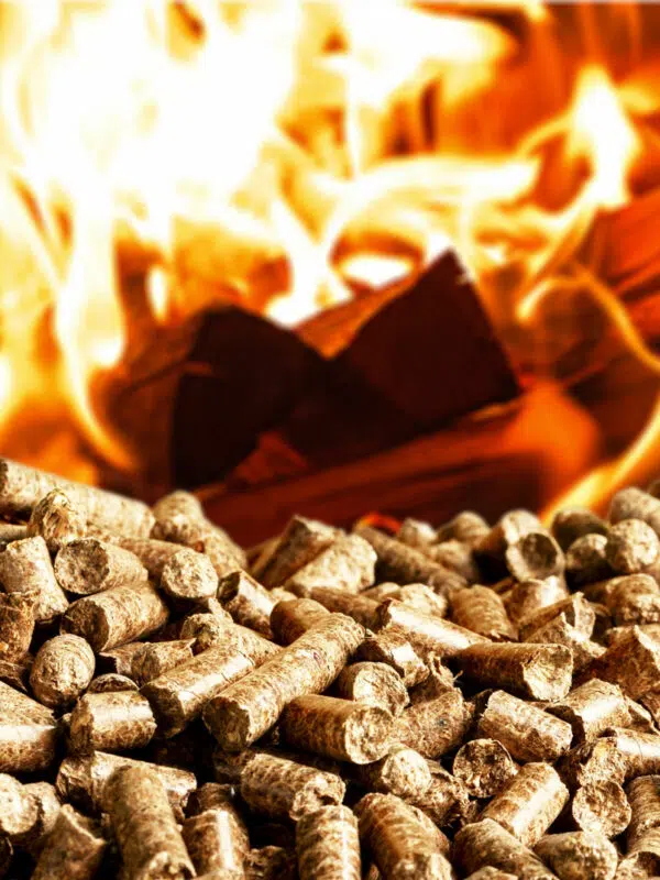 combustibles bois Montréjeau 31