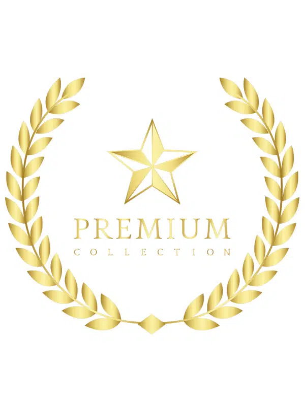 bestsellers poêle cheminée bois Montréjeau 31