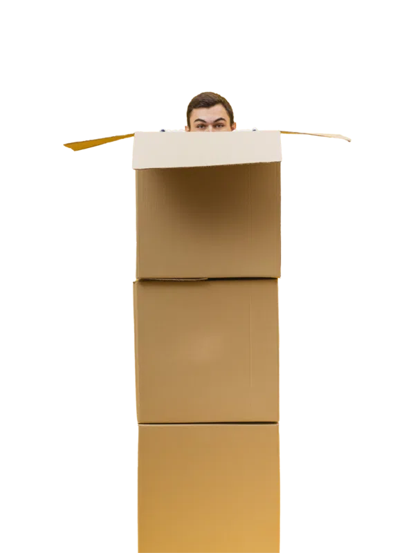 nouveautés dernier arrivage poêle à bois du comminges