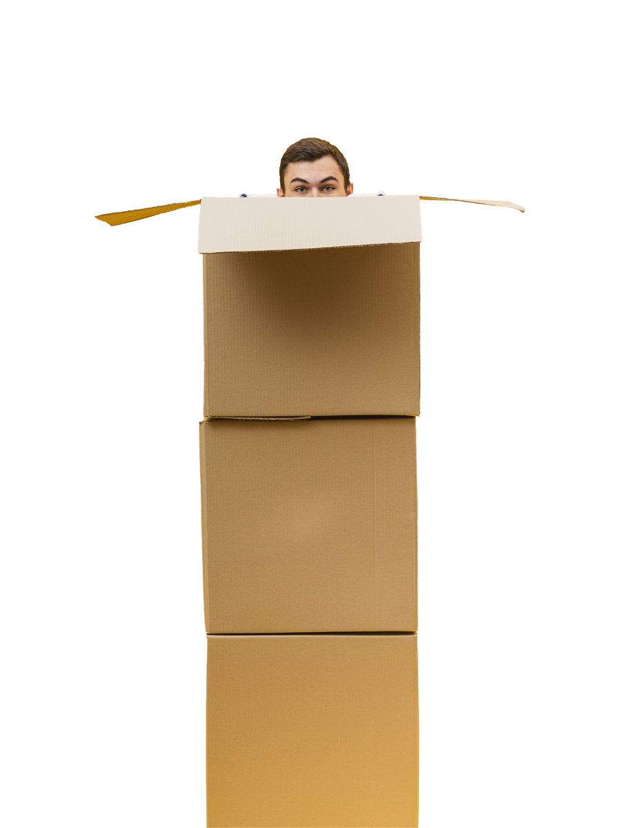 nouveautés dernier arrivage poêle à bois du comminges