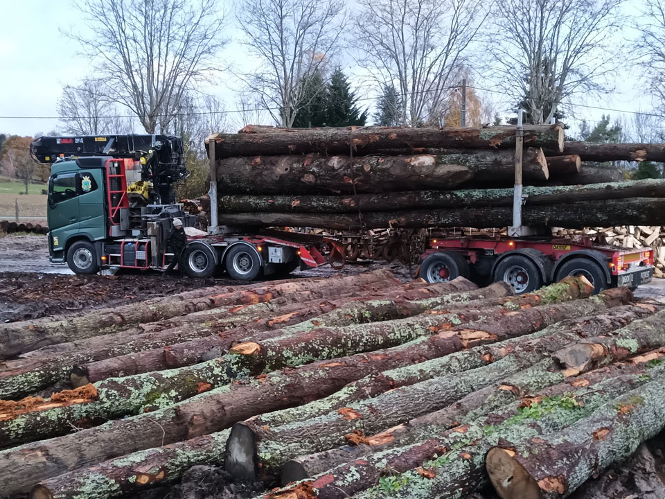 débardage bois exploitation forestière 31 occitanie