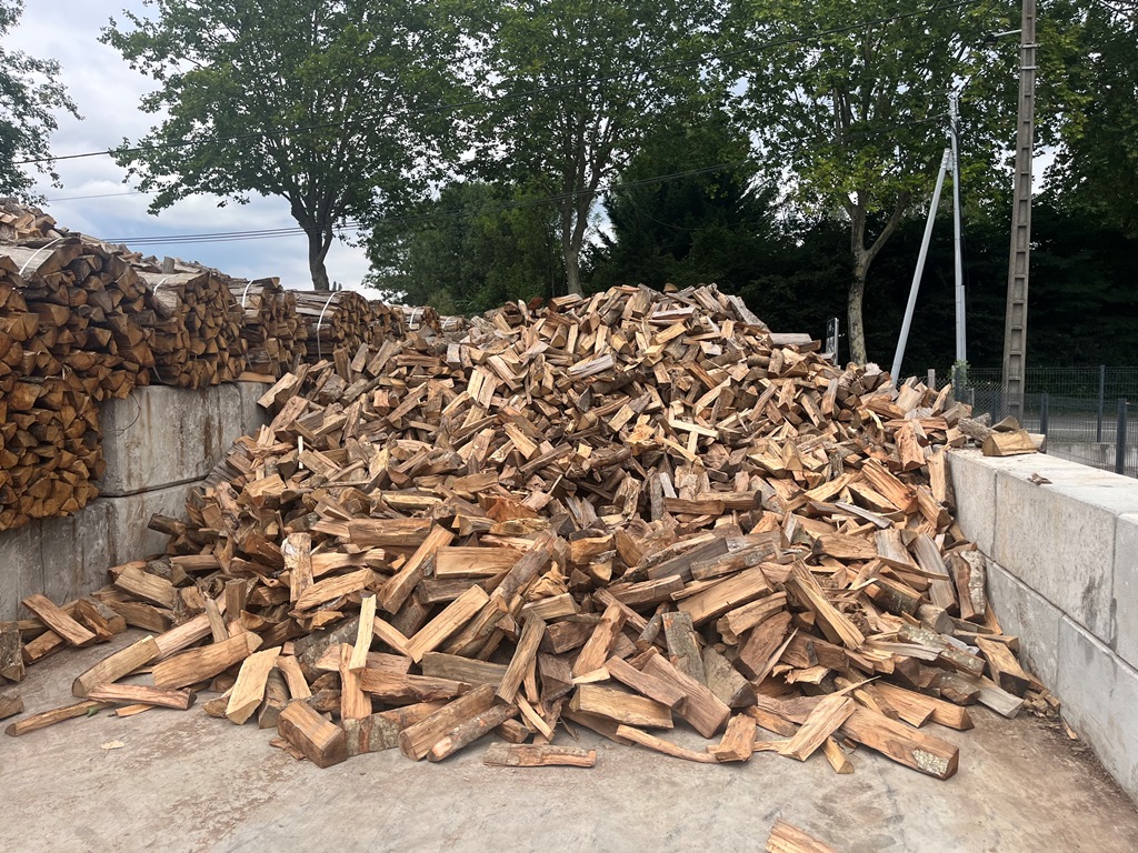 bois de scierie 31 Comminges exploitation forestière